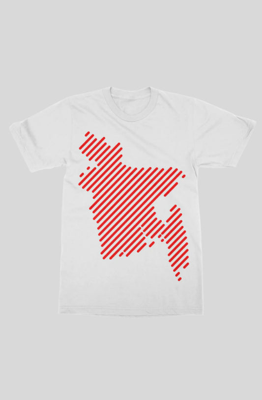 gildan mens t shirt